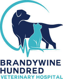 Brandywine Hundred Veterinary Hospital